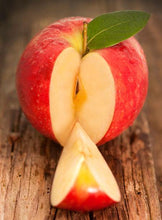 Load image into Gallery viewer, Fuji Apple Tree